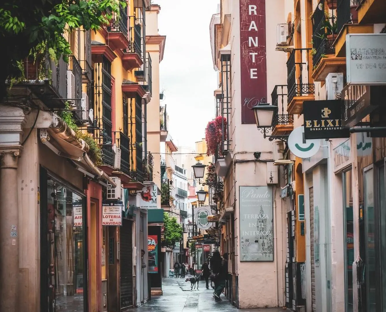 公寓 Apartamentos San Roque 塞维利亚 西班牙