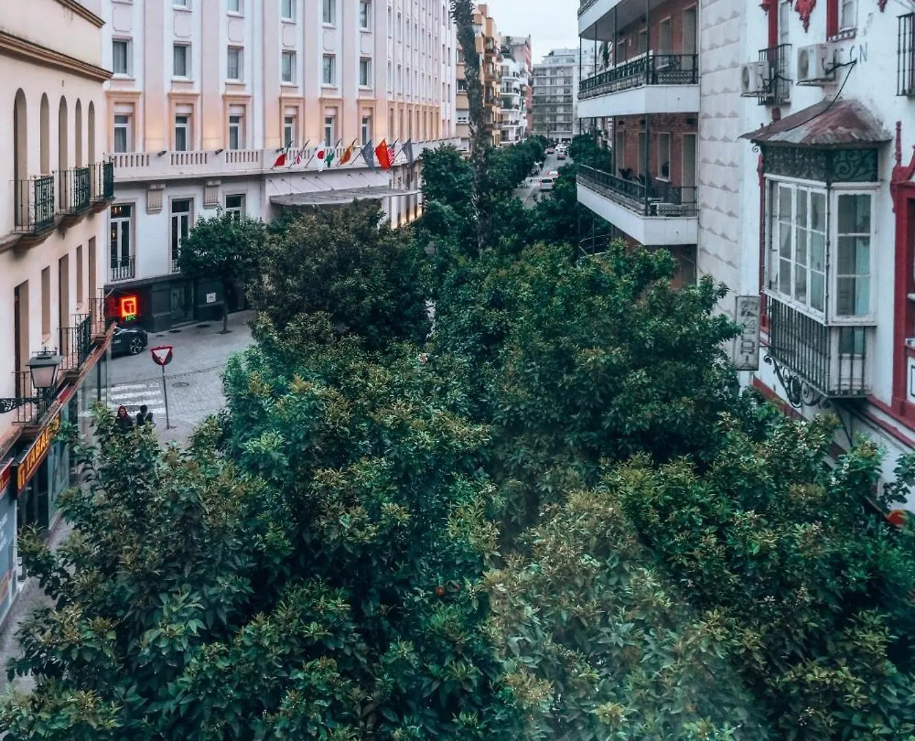 公寓 Apartamentos San Roque 塞维利亚 西班牙